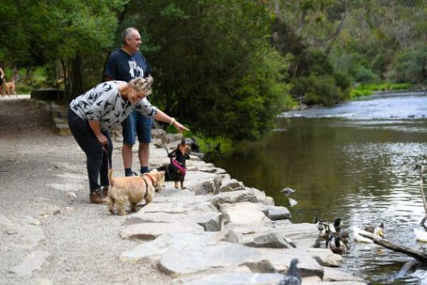 Warrandyte couple with dogs pointing at the river