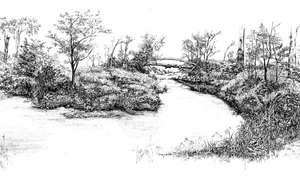 Black and white ink drawing of a landscape with a crescent shaped body of water surrounded by Australian endemic vegetation