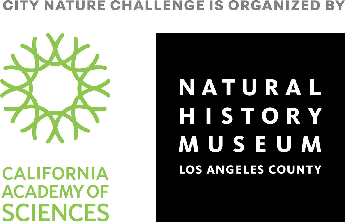 City nature challenge logo