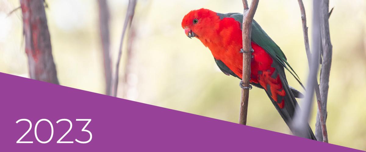 Image of a red parrot holding onto a branch, text "2023" on a purple background